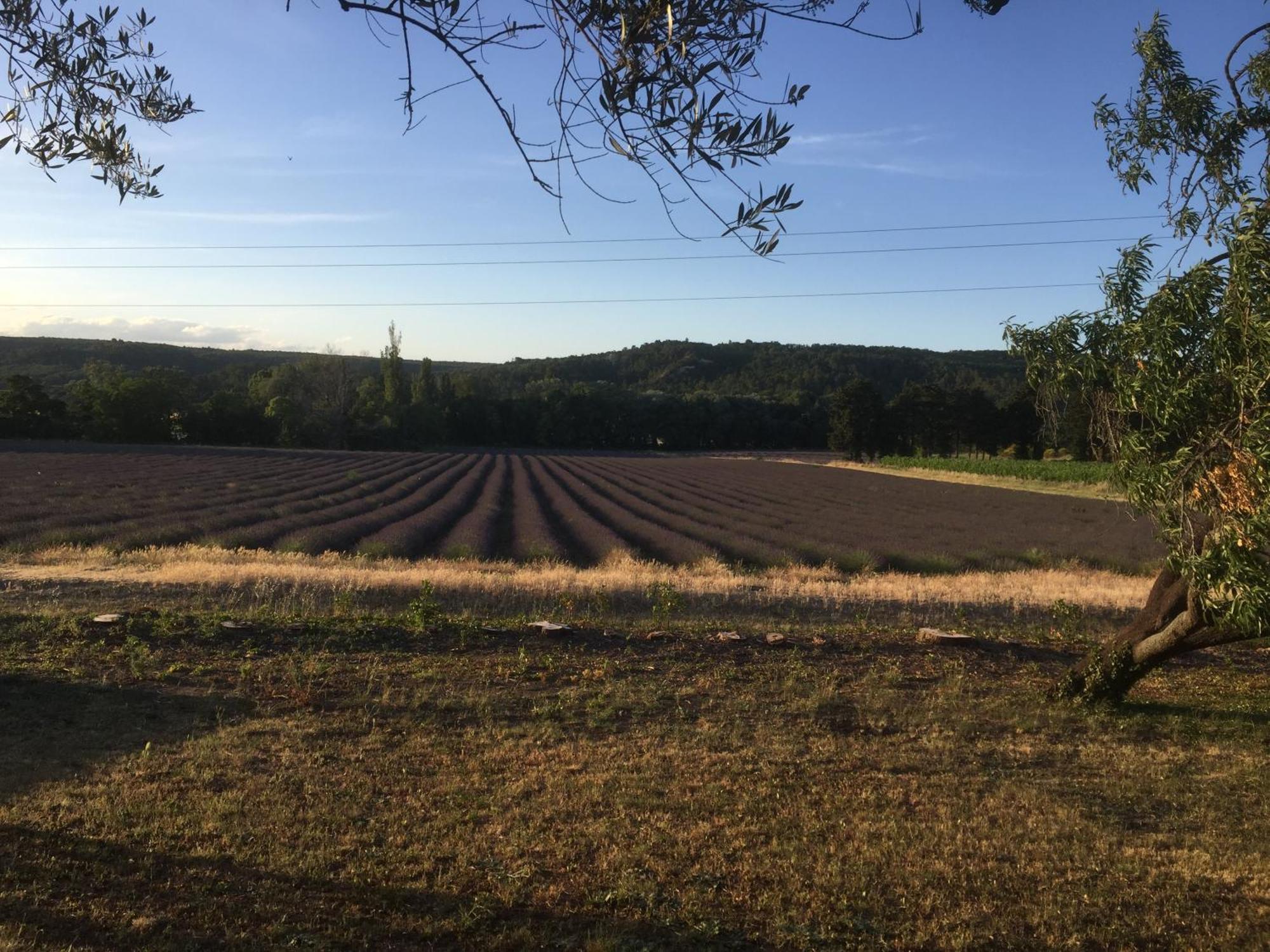 Gite Le Gre Chantemerle-lès-Grignan Buitenkant foto