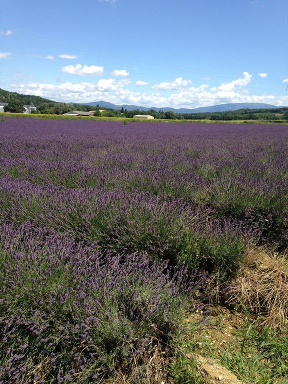 Gite Le Gre Chantemerle-lès-Grignan Buitenkant foto